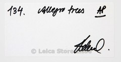 SIGNED DIBOND PICTURE » ALLEGRO TREE » MADE BY TOP MODEL HELENA CHRISTENSEN