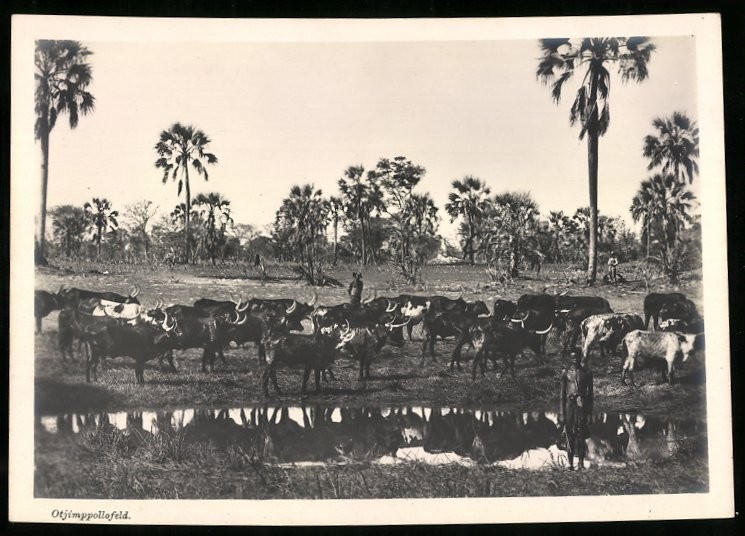 Photograph Otjimpollofeld – German South West Africa / Namibia, Native Hats