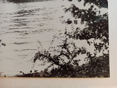 Josef Sudek (1896 – 1976) – banks of the Vltava River, Prague, 1961 – signed photo