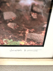 Joseph Barnett Photography Set of 2 Signed Autumn Themed Nature Framed Photos