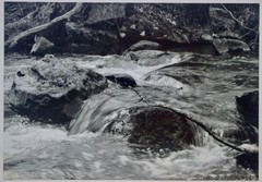 Lot of 3 B&W Photo 7 x 5- mat 14 x 12- Paddock Fence Stream Ivy Country Charm