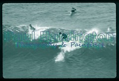Maui West Honulua Regular Wave Rider Surfer Right Break Hawaiian Surf