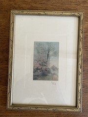 Wallace Nutting Spring Blooming Tree Open Air Signed Hand Colored Photograph
