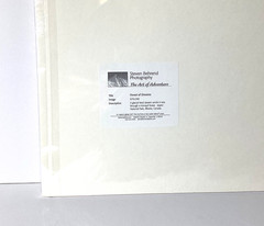 Fine Art Photograph Forest of Dreams Canadian Rockies Landscape Signed & Matted