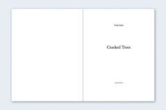 TODD HIDO Nazraeli One Picture Book SET 59 Cracked Trees Signed