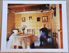 BERT TEUNISSEN Domestic Landscape SIGNED Photograph ‘Pino del Oro #3’ 2005 14×17