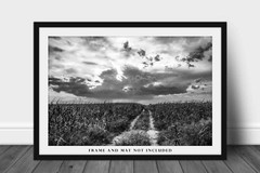 Corn Field Photography Print: Nebraska Black & White Scenic Sky Country Photo