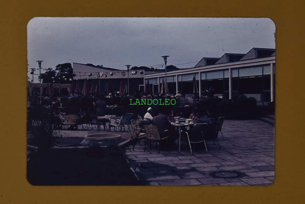 Dia Im Zoo Berlin 1962 Gastronomy Cafe Restaurant