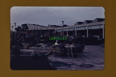Dia Im Zoo Berlin 1962 Gastronomy Cafe Restaurant