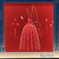 Lot Of 40 Vintage Disneyland Worldwide Vacation Amateur 35mm Color Slides