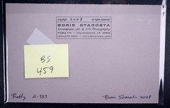 Boris Starosta 3D Stereoview – Betty A323 – nude model signed 2008