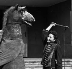 „Crazy Horse” on roller skates, world-famous circus production István ELEK and
