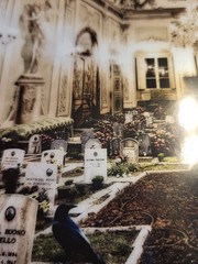 Andrew Mosedale Signed Cemetary Ballroom Photograph in Matte 12 x 9 FREE SHIP!!!