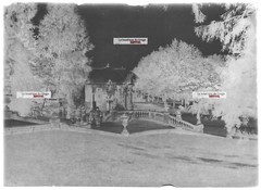 Plate glass old photo negative black and white 5 1/8×7 1/8in Vittel galerie