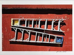 ART – Signed Ryan Miller 35mm Photograph – Modern Art Print 19.5×13.5 Framed