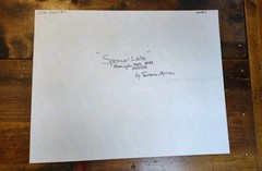 Spencer Lake/Print #1/Aerial View