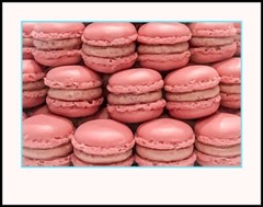 Pink Macaroons 11″ x 14″ Color Photography (ZHR181100911X14)