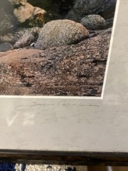 JEANNE CAMERON- LISTED PHOTOGRAPHERTHE ROCK LOVERS ORIGINAL SIGNED GELATIN PRINT