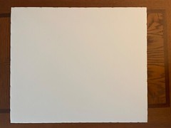 Thomas Mangelsen White Lace – Egret Rabbit Island LA Ltd. Ed. Out of Print 16×20