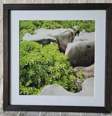 Photo print, Sans Titre 21, Christian Chaize, image 11×11 custom frame 14×14 COA