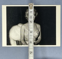 Marilyn Monroe 1953 Art Print Card Photo By Phil Stern Fotofolio 4”x6”