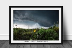 Sunflower Photography Print Storm Picture Texas Photo Nature Decor