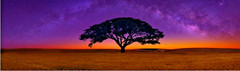 Celestial Dreams by Peter Lik Currently Sells for 40K