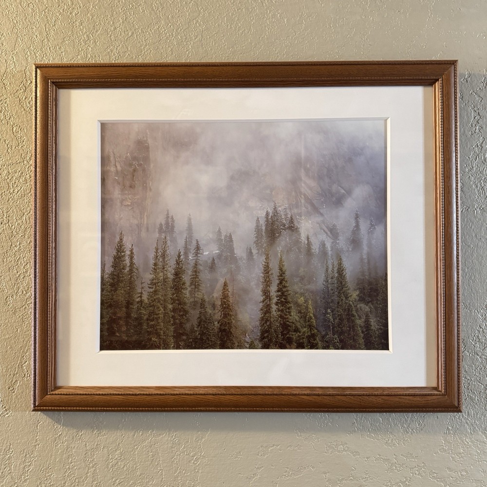 Rodney Lough The Little Rock That Could Yosemite Framed Fine Art Photograph MINT