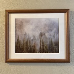 Rodney Lough The Little Rock That Could Yosemite Framed Fine Art Photograph MINT