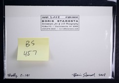 Boris Starosta 3D Stereoview – Betty C 191 – nude model signed 2008