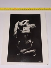 THE JOFFREY BALLET 8×10 HERBERT MIGDOLL PRESS PHOTO R CORBEN TYPE 1 DANCE MALE