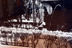 Fountain, Jardim Botanico, Rio de Janeiro, Brazil, 17 x 25in art photo by M.G.