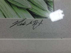 FRAMED PHOTOGRAPH – Hong Kong Market Signed 17.5 X 21.5
