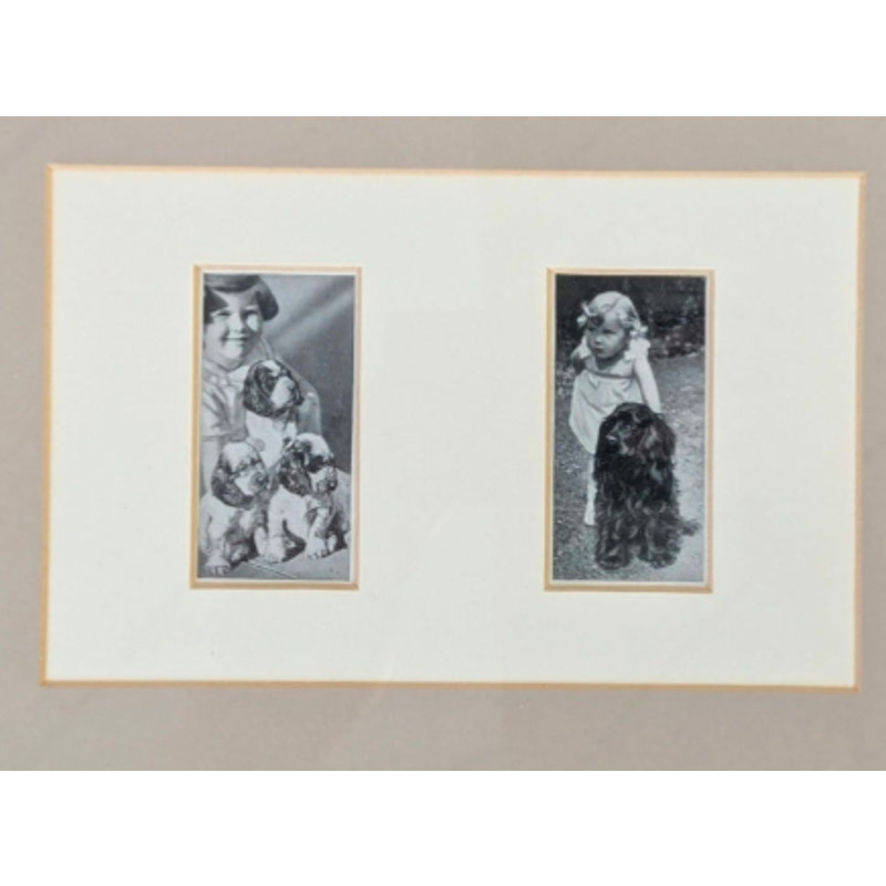Vtg Cocker Spaniel Photos Framed Dogs and Friend Black White Lady Kitty Ritson