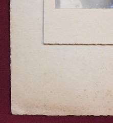 Antique Portrait Photograph of a Young Woman, Shot and Signed by Stuart Black