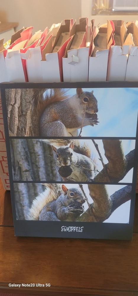 11x14in Canvas Print For Sale