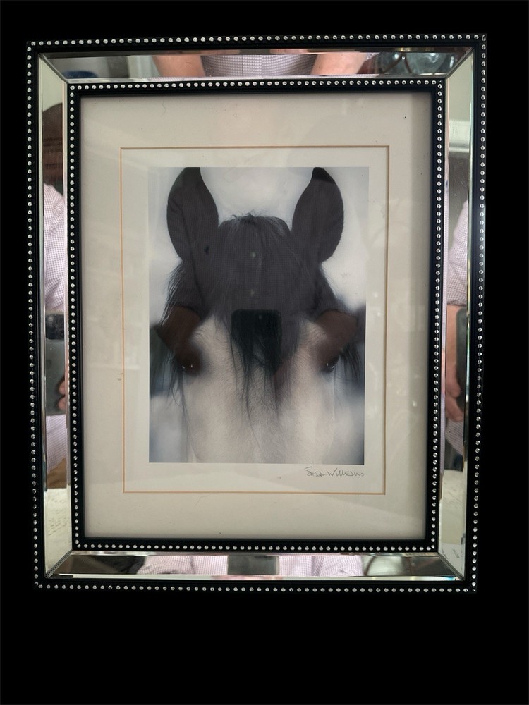 Susan Williams Print Equis: Celebrate The Spirit Of The Horse Framed & Signed