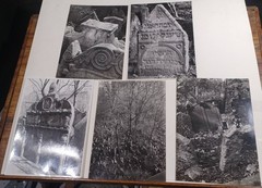Judaica: 15 Photos 1942-1956, Headstones Old Jewish Cemetery in Prague, Mostly