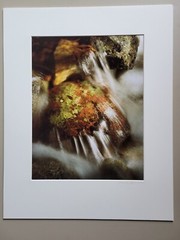 Richard Garrod, color 10.5×13 image on 16x 20 matte, photography art original