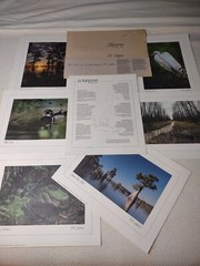 Louisiana: The Bayou State: Limited Edition Portfolio By C.C. Lockwood