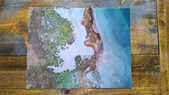 Oakland Bay Spring/Aerial View/Metallic Ink Print