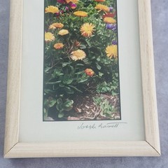 Signed Joseph Barnett Floral Photo Prints Set Maine Artist Framed Garden 6×12