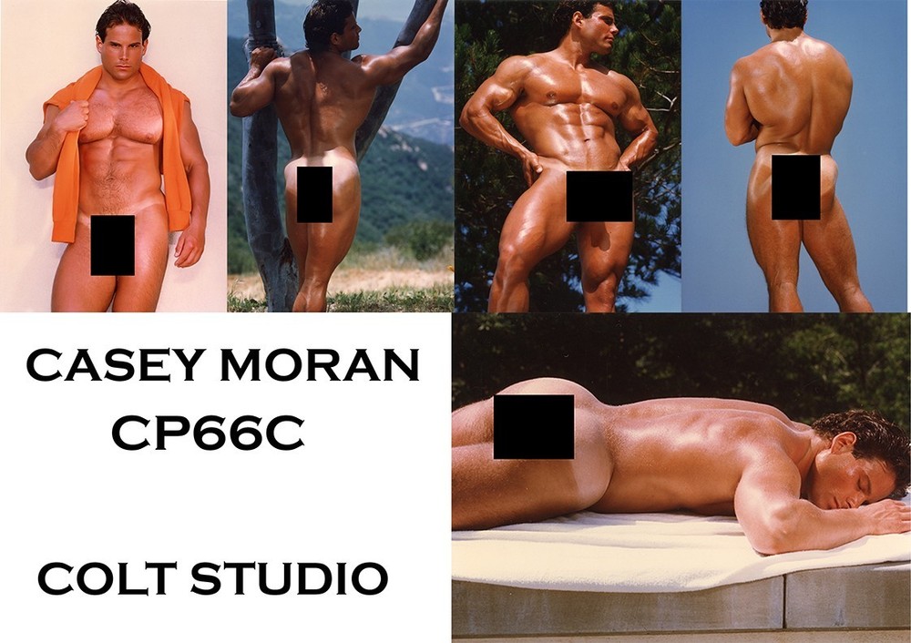 Casey Moran – COLT STUDIO CP66C (Photo Set of 5 – Original 5×7) 1982