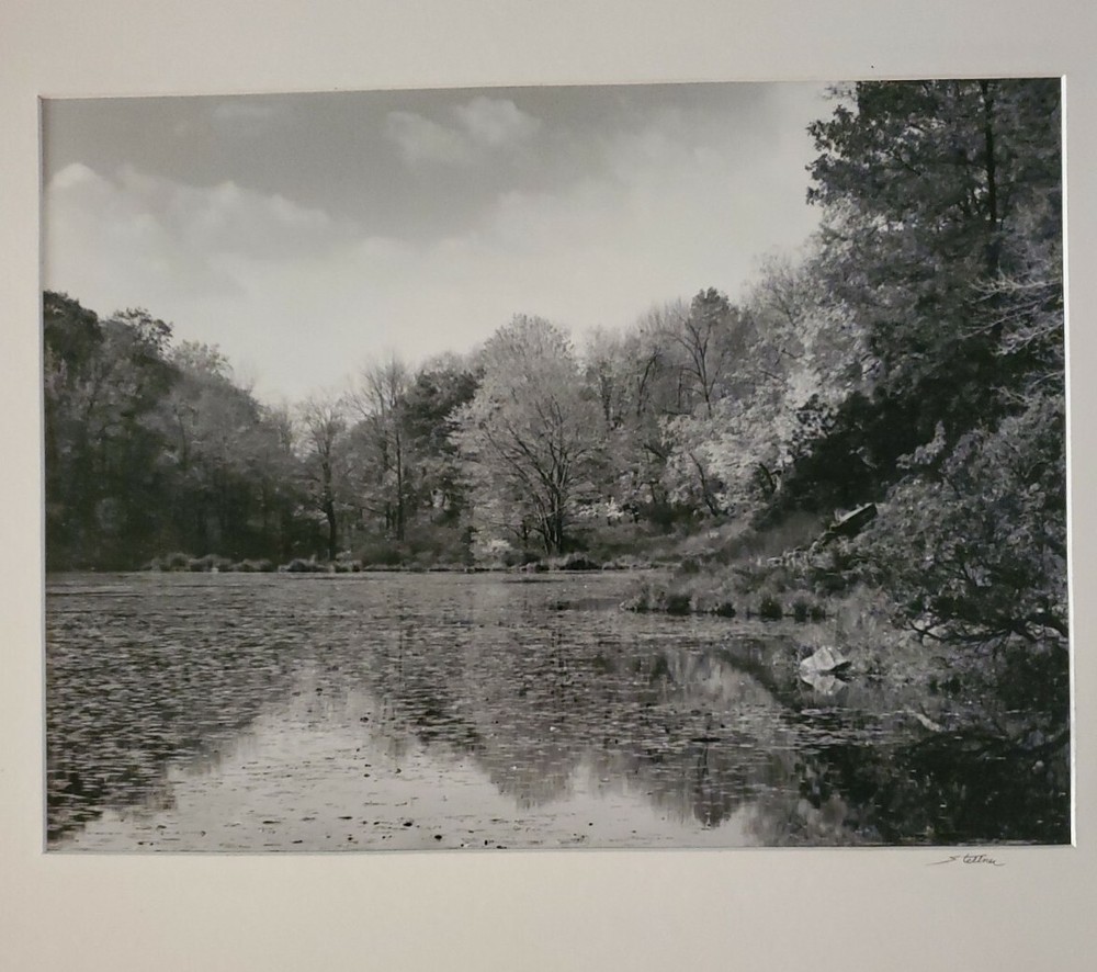 RIVER TREES LARGE ORIGINAL SIGNED ART PHOTO B&W STETTNER VTG MATTE NJ CAMERA
