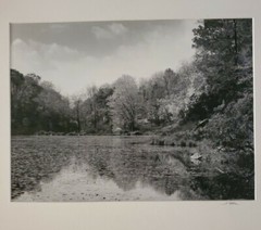 RIVER TREES LARGE ORIGINAL SIGNED ART PHOTO B&W STETTNER VTG MATTE NJ CAMERA