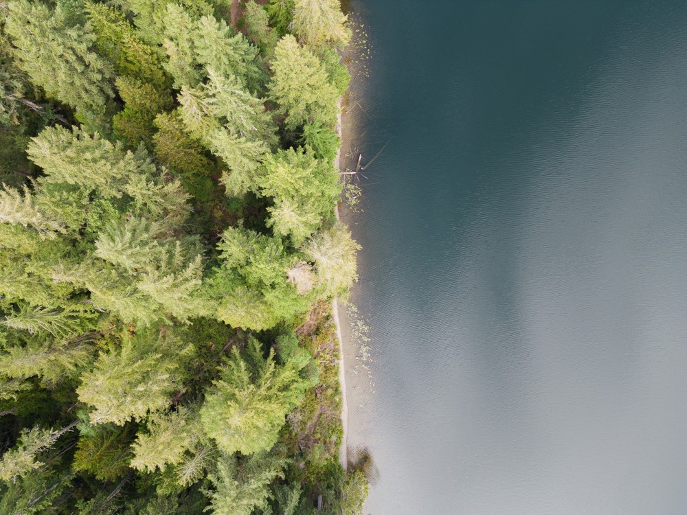 Spencer Lake Shoreline/Print #1/Aerial View