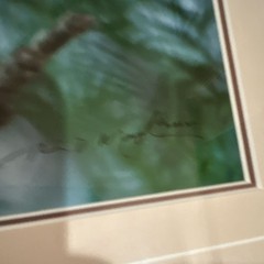 Thomas Mangelsen “Owl” signed numbered framed color photo