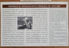 Thomas Mangelsen Rocky Mountain Indian Summer Lim Ed Framed Print Photograph