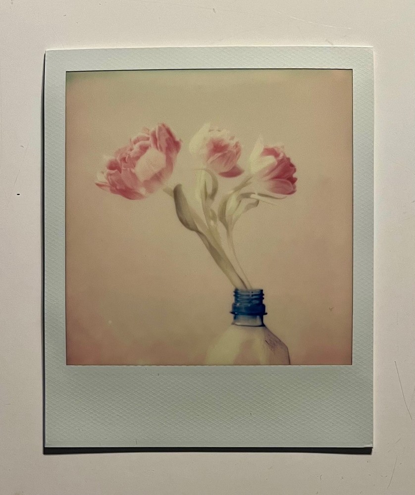 1 x Polaroid, Flower, Tulips, SX 70, Color Photo, Photography, Instant Photo, Art