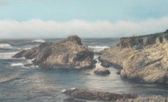 Lg J.M. Garrison Tinted Oil Color Photo Ostrich Tree Monterey 23″x 13.5” VGC